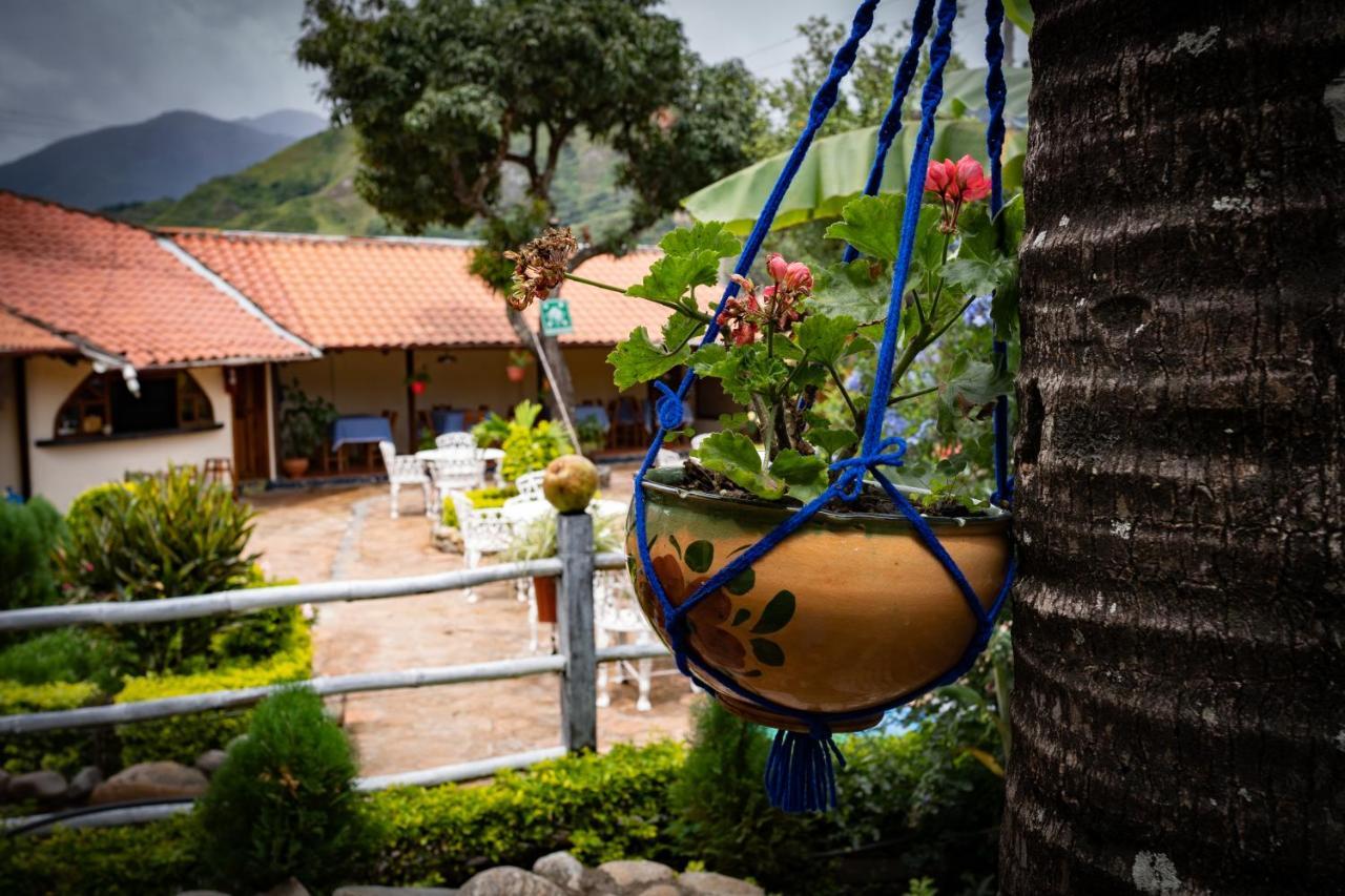 Hostal Jardin Escondido Vilcabamba Zewnętrze zdjęcie